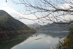 大田網(wǎng)站建設