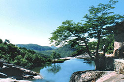 莆田網(wǎng)站建設