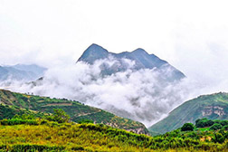 鎮(zhèn)原網站建設