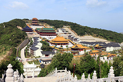 舟山普陀網(wǎng)站建設