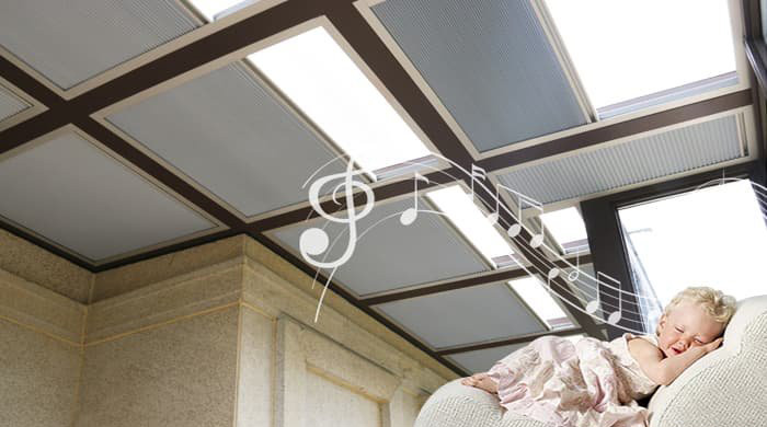 fss電動(dòng)天棚簾