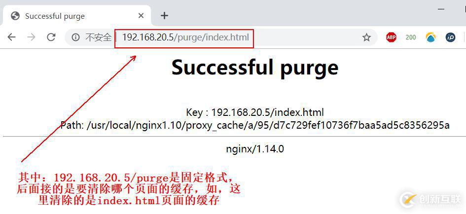 Nginx服務(wù)的安裝配置、反向代理實(shí)現(xiàn)和優(yōu)化
