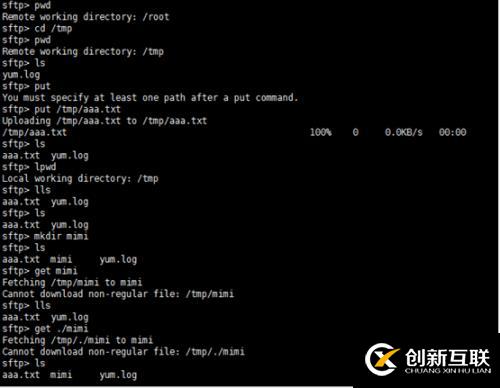 Linux系統之SSH