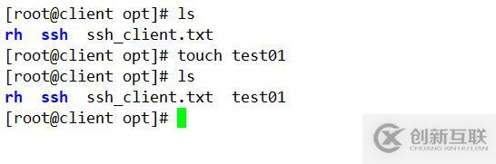 Linux系統SSH服務詳解