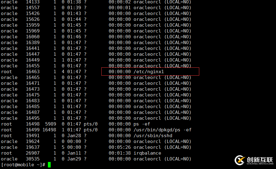 Linux服務器被入侵怎么辦