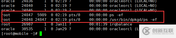 Linux服務器被入侵怎么辦