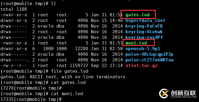 Linux服務器被入侵怎么辦