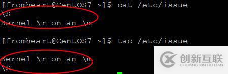 從心開始的CentOS學習筆記之五:文件內容查看命令cat、