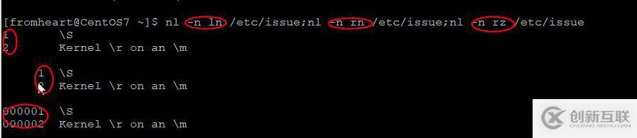 從心開始的CentOS學習筆記之五:文件內容查看命令cat、