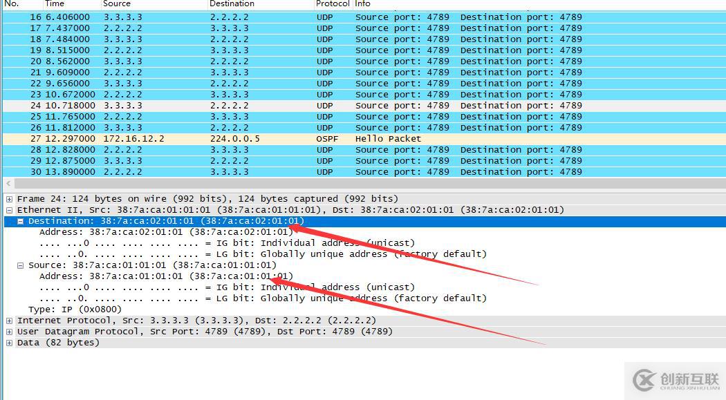 vxlan二層互通-有隧道方式