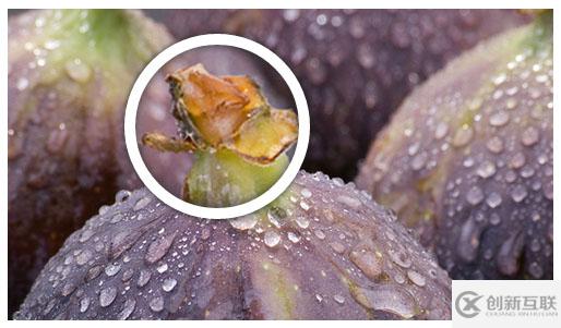 利用javascript實現的三種圖片放大鏡效果實例（附源碼）