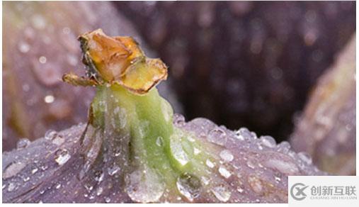 利用javascript實現的三種圖片放大鏡效果實例（附源碼）