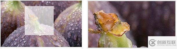 利用javascript實現的三種圖片放大鏡效果實例（附源碼）