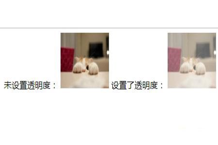 設置CSS樣式中透明度的方法