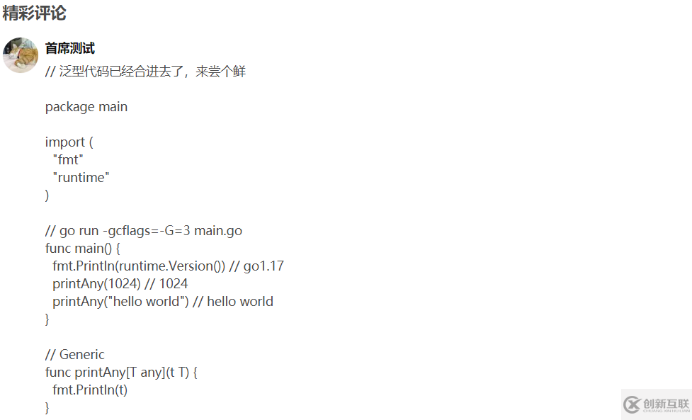 Go語言默認啟用的示例分析