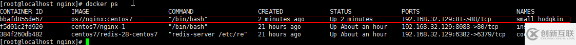 CentOS7 Docker Nginx部署及運行實例分析