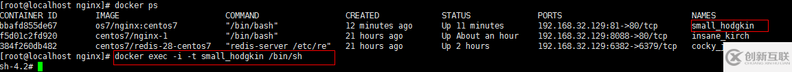 CentOS7 Docker Nginx部署及運行實例分析