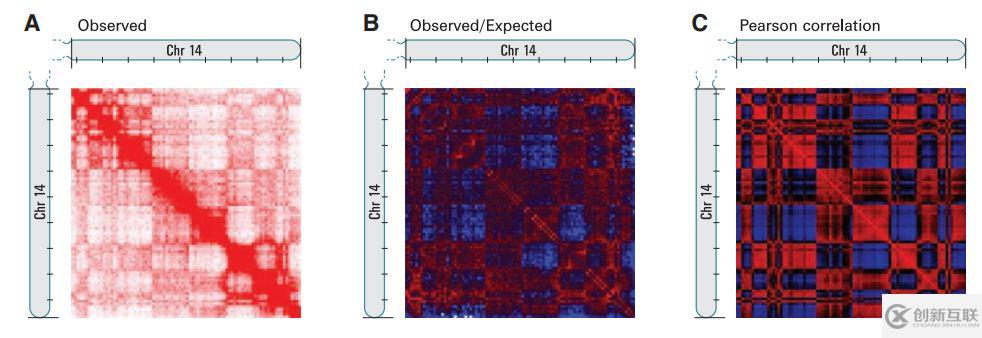 如何進行A/B compartment:染色質區室分析