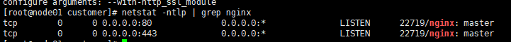 如何在linux環境中安裝Nginx1.16.0