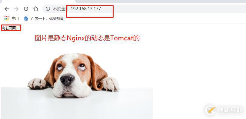 在Tomcat1，Tomcat2上安裝Tomcat服務及其它