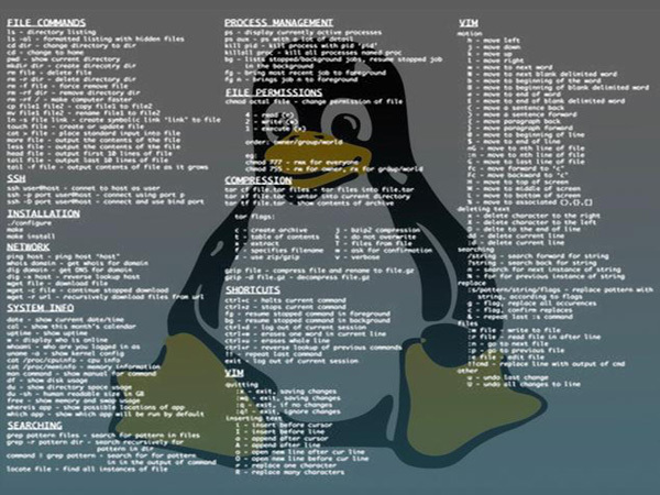 Linux命令 Linux命令