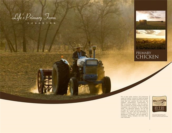 農(nóng)產(chǎn)品電商平臺 農(nóng)產(chǎn)品電商平臺