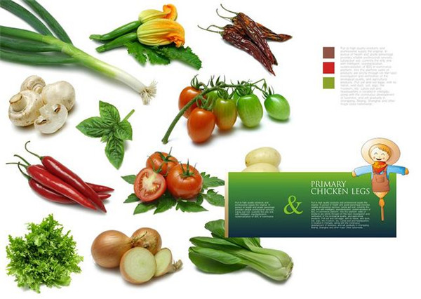 農(nóng)產(chǎn)品電商平臺 農(nóng)產(chǎn)品電商平臺