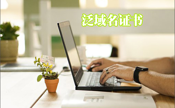 泛域名證書怎么樣,二級域名證書是什么