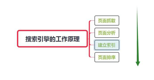 網站怎么讓蜘蛛快速抓取？
